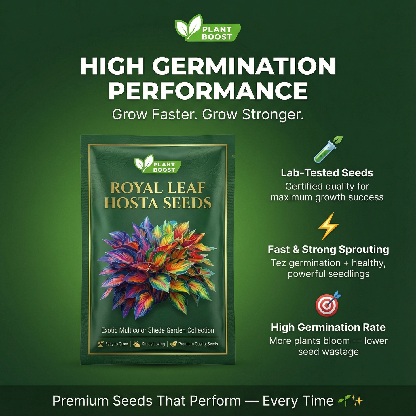 Premium Angel Flower Seeds