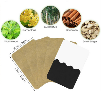 Herbal Pain Relief Patch | Natural Therapy for Joints & Muscles
