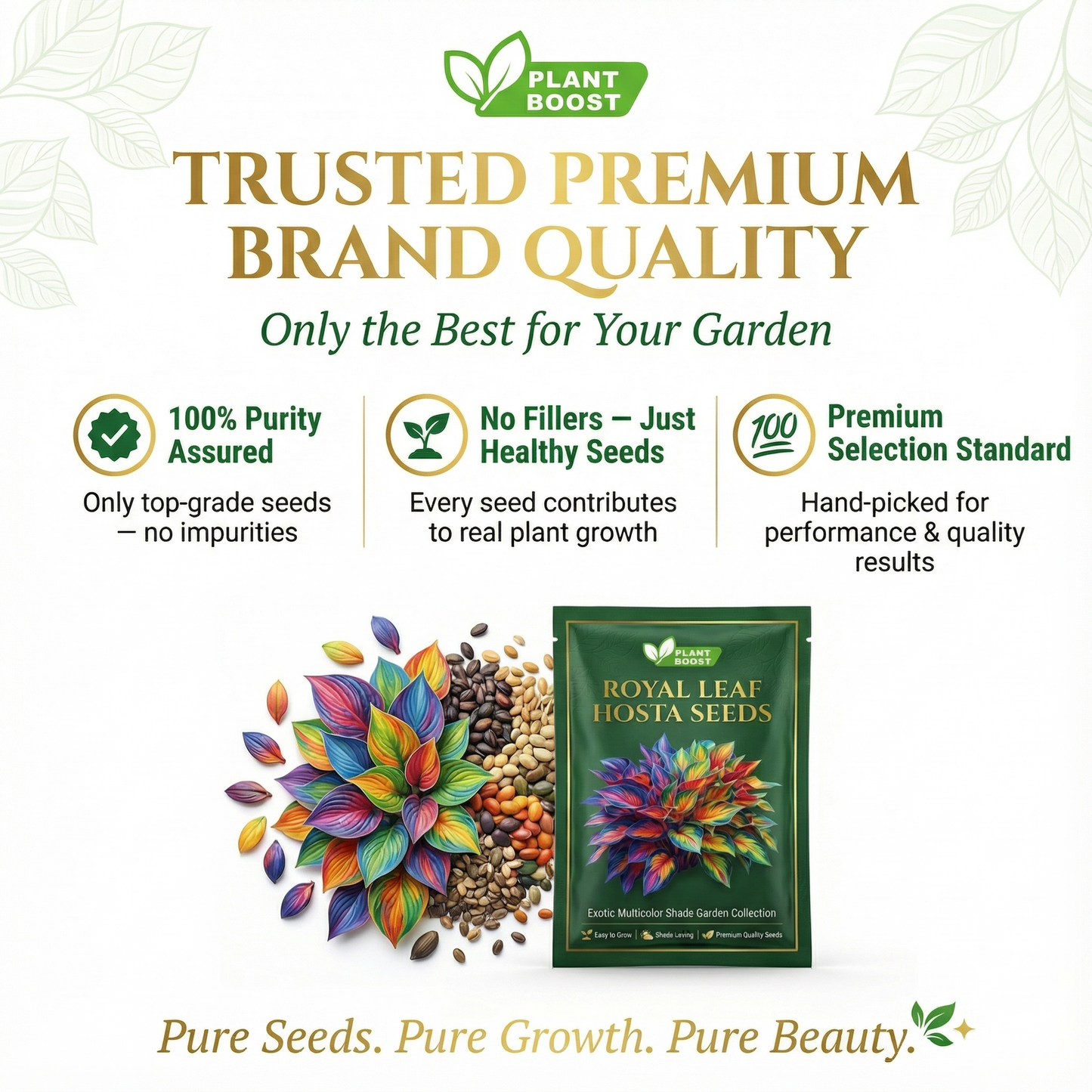 Premium Angel Flower Seeds